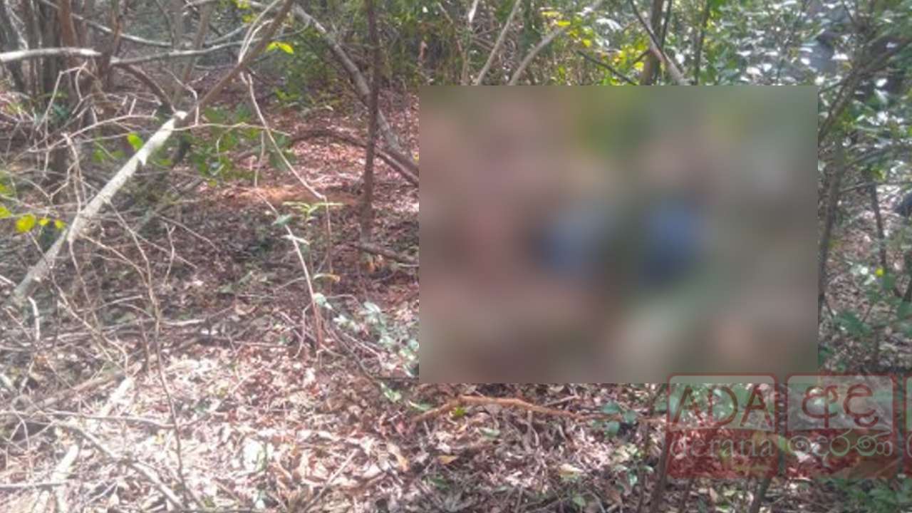 யானை தாக்குதலுக்கு இலக்காகி முதியவர் பரிதாப பலி!