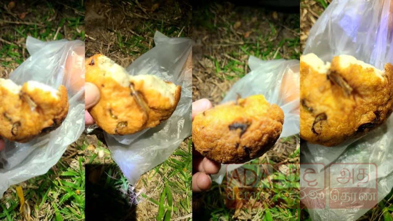 மன்னாரில் பிரபல உணவகத்தில் வாங்கிய வடையில் வெட்டுக்கிளி!
