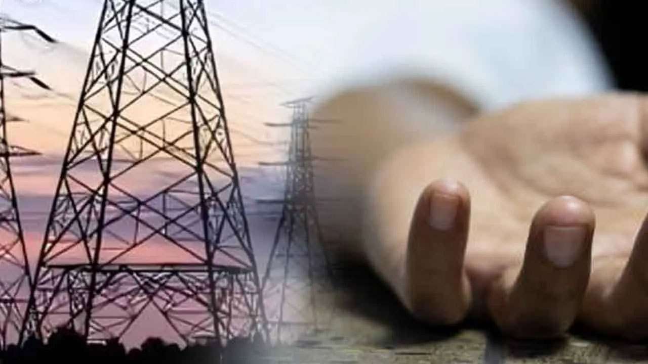மின்சார ஊழியர் மின்சாரம் தாக்கி உயிரிழப்பு!
