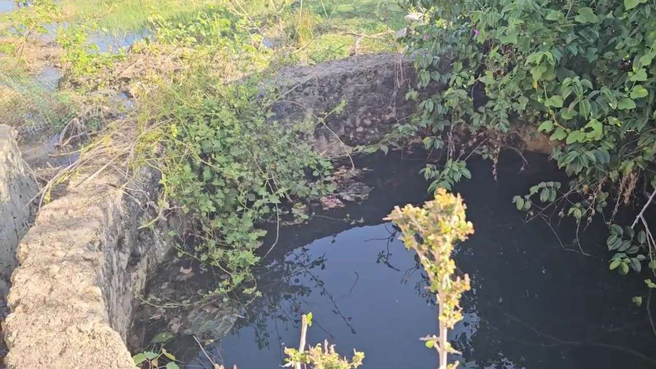 அராலியில் பெருக்கெடுத்த கிணறுகள்!
