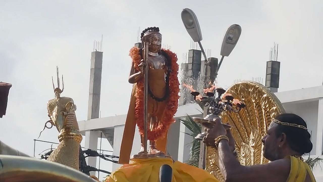 தண்டாயுதபாணி உற்சவம்!