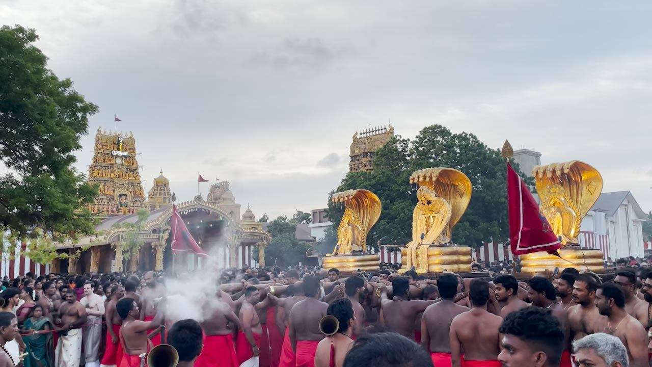 நாக வாகன உற்சவம்!