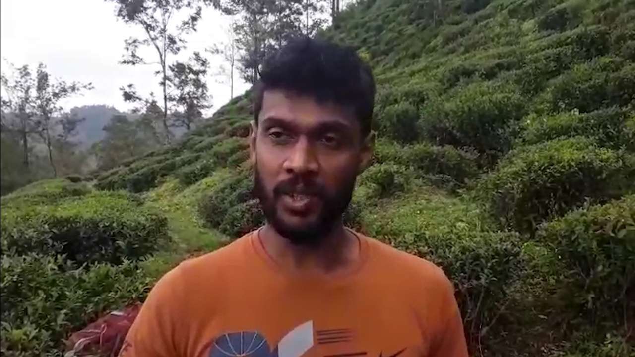 லிந்துலையில் குளவி தாக்கி ஒருவர் பலி!
