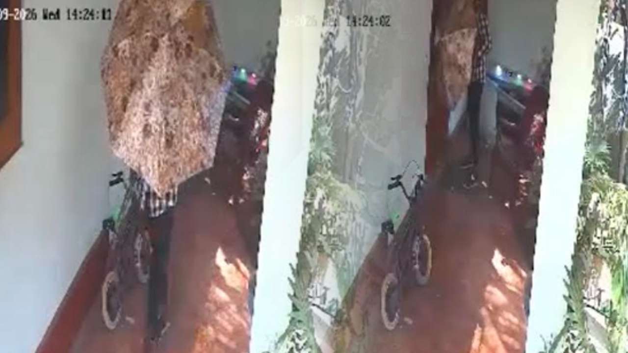 மன்னாரில் தொடரும் தொடர் திருட்டுச் சம்பவங்கள்!