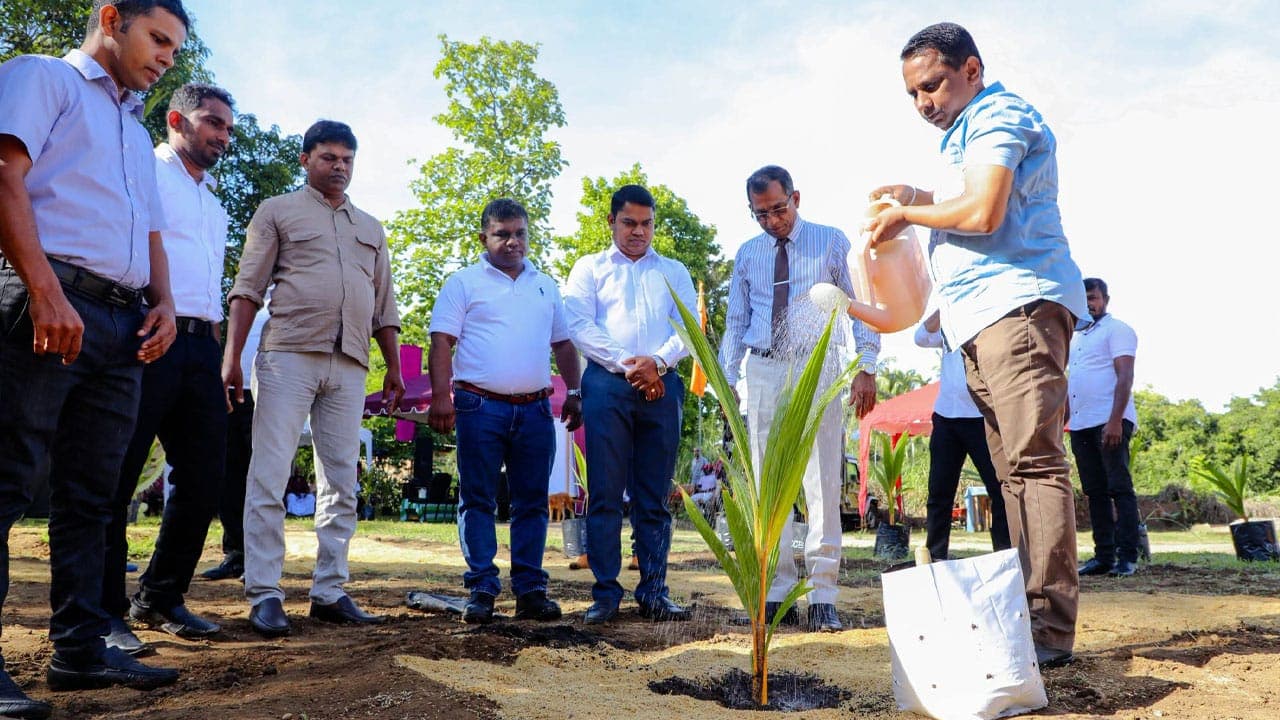 நாட்டின் 2ஆவது செவ்விளநீர் கிராமம் பதுளையில் - நாடு முழுவதும் 250 கிராமங்கள்!
