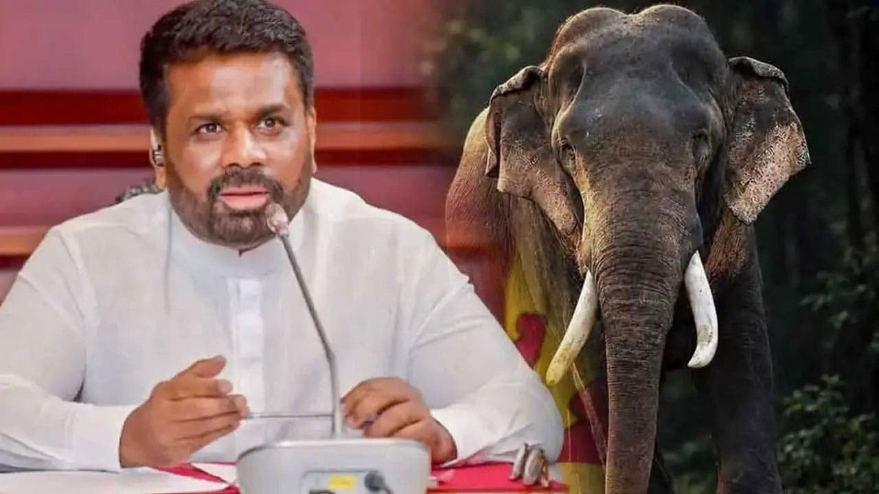 காவன்திஸ்ஸவின் மரணம் குறித்து ஆராய ஜனாதிபதியினால் நிபுணர் குழு