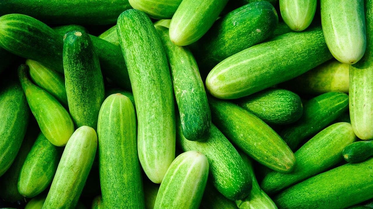 வெள்ளரிக்காய் குளிர்க்காலத்தில் சாப்பிடலமா?
