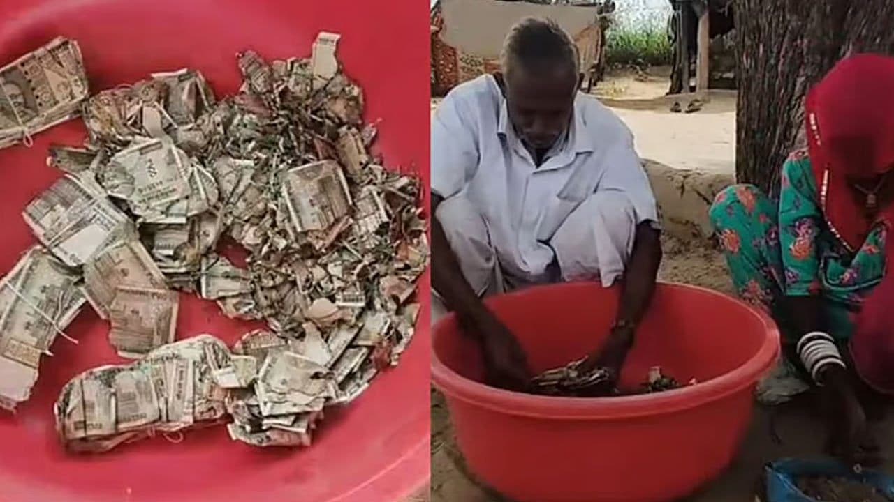 மனைவிக்கு பயந்து பணத்தை மண்ணில் புதைத்த விவசாயி!