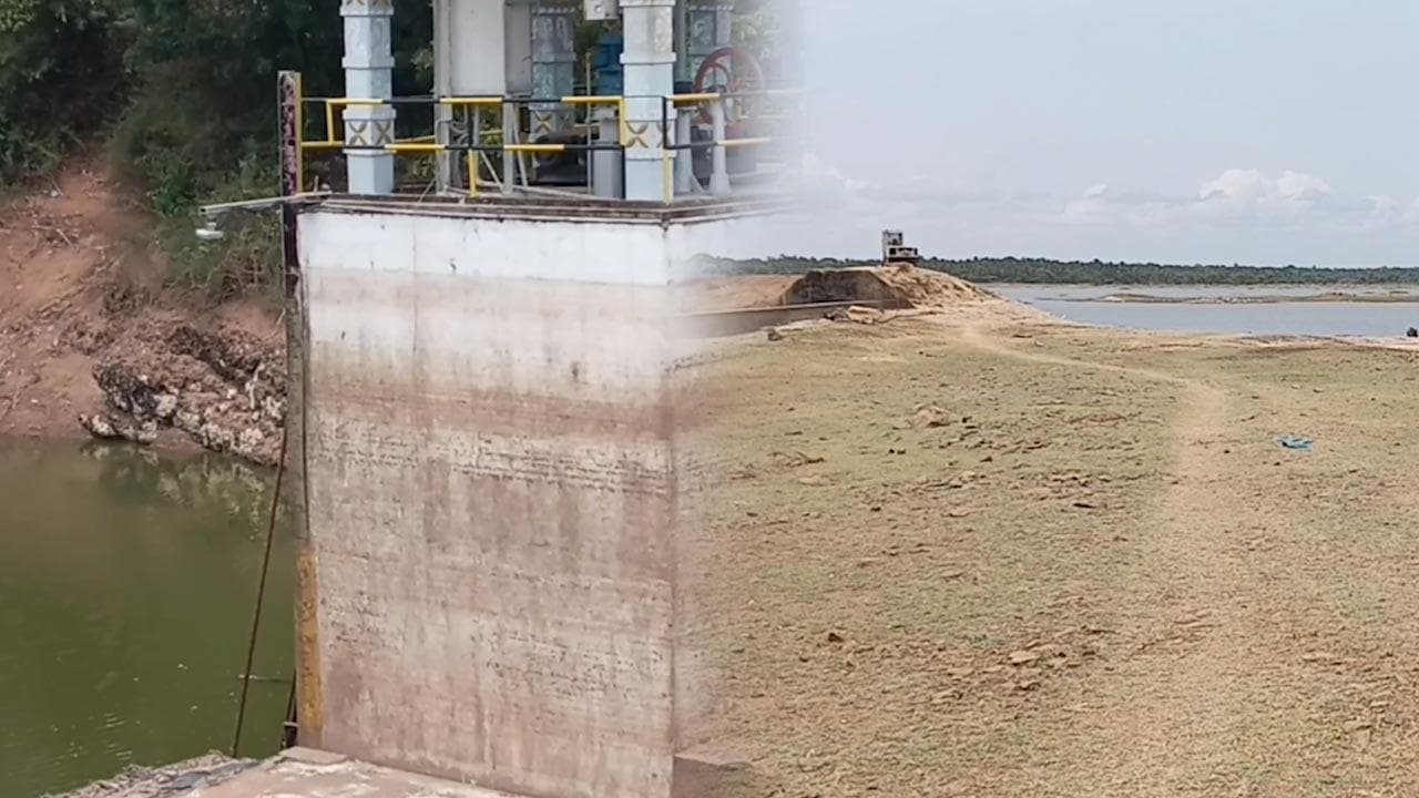 20 வீதமாகக் குறைந்த இரணைமடு நீர்மட்டம்!
