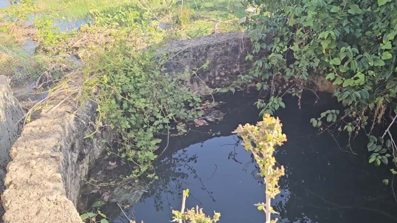 அராலியில் பெருக்கெடுத்த கிணறுகள்!
