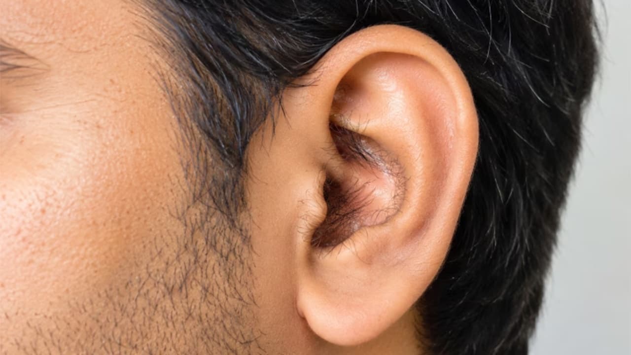உங்க காதுல முடி இருக்கா? - சாஸ்திரம் சொல்வது இதுதான்!