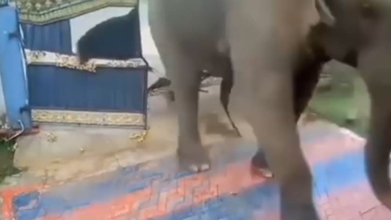 வீட்டின் நுழைவாயிலை உடைத்து சேதம்!